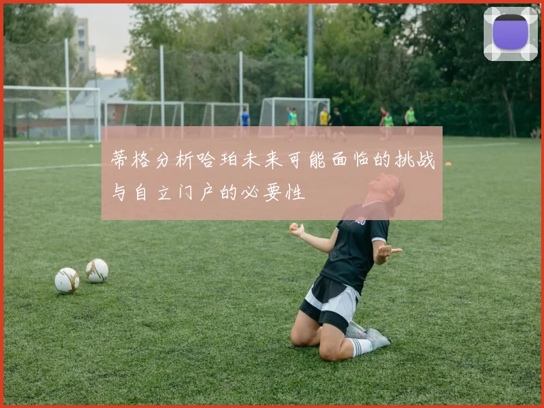 蒂格分析哈珀未来可能面临的挑战与自立门户的必要性