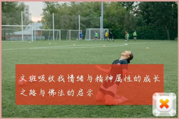 文班吸收我情绪与精神属性的成长之路与佛法的启示
