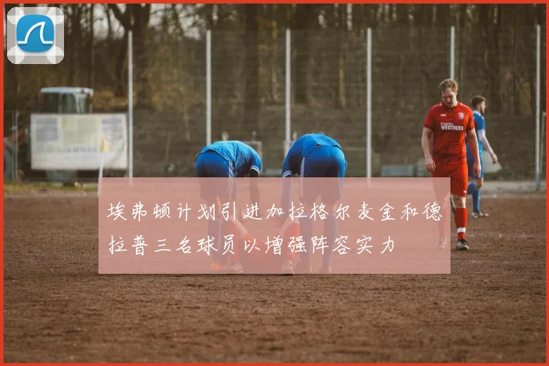 埃弗顿计划引进加拉格尔麦金和德拉普三名球员以增强阵容实力